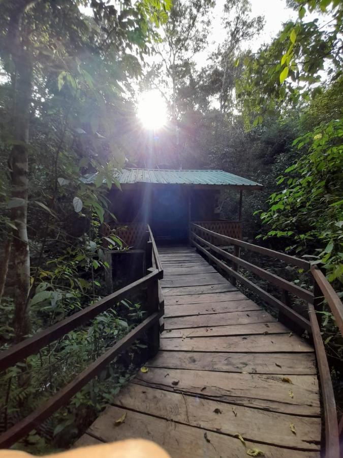 Yasi Yatere Reserva Agroecologica El Soberbio Exterior photo
