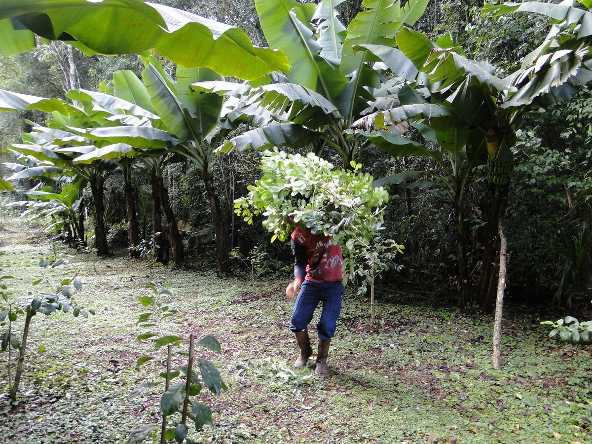 Yasi Yatere Reserva Agroecologica El Soberbio Exterior photo