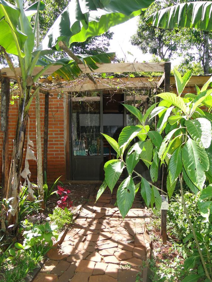 Yasi Yatere Reserva Agroecologica El Soberbio Exterior photo